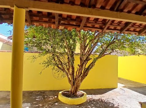 QUINTAL