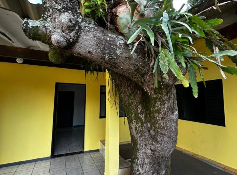 fachada candido bueno 614