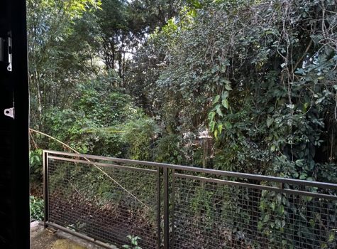 vista candido bueno 614